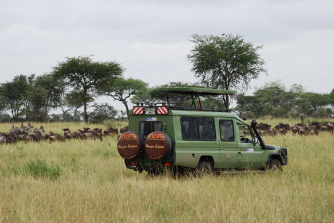 Small Group Safari holidays