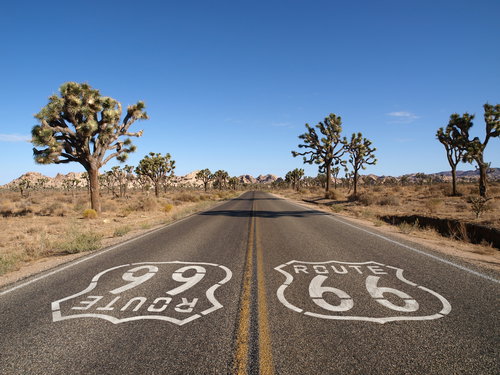 Route 66 with Joshua Trees, USA