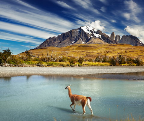 Torres Del Paine National Park