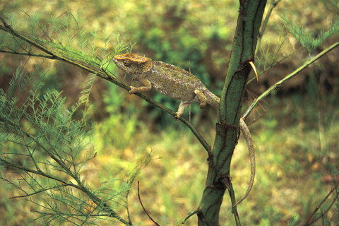 Guided Small Group Adventure Touring holidays