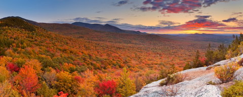New England's Fall Foliage - Insight
