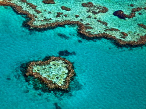 Honeymoons holidays