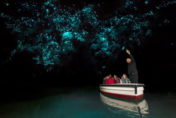 Waitomo Glowworm Caves Admission