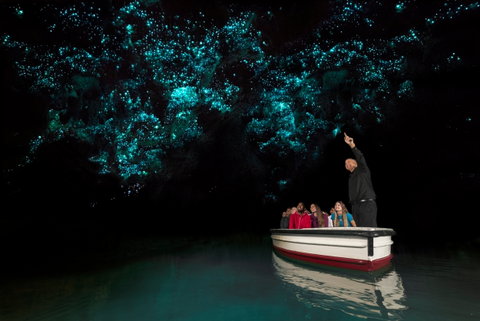 Waitomo Glowworm Caves Admission