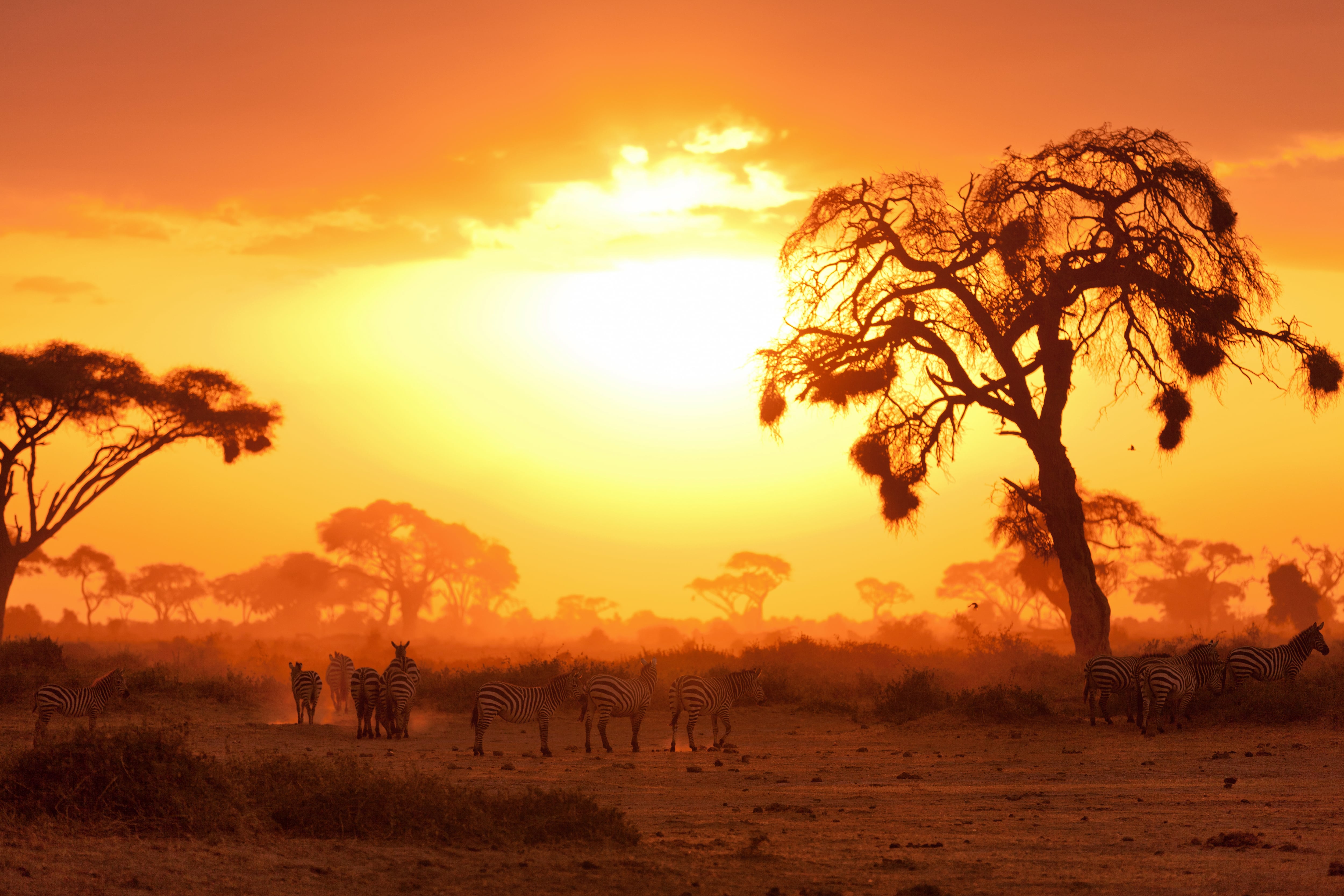 Kenya Wildlife Safari | Trailfinders