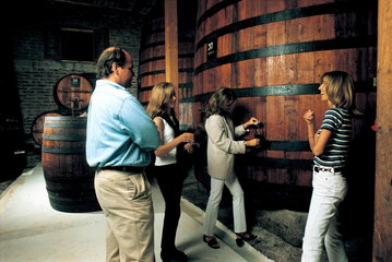 Santa Rita Winery Tour