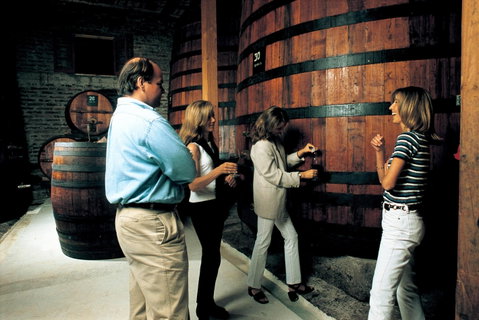 Santa Rita Winery Tour