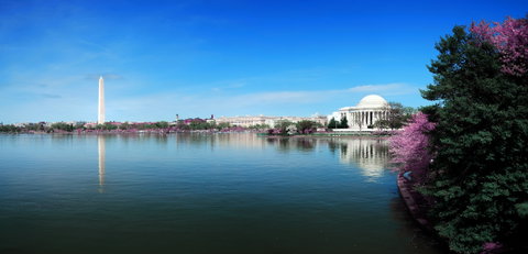 Washington DC & The Capital Region