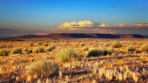 Kalahari Desert