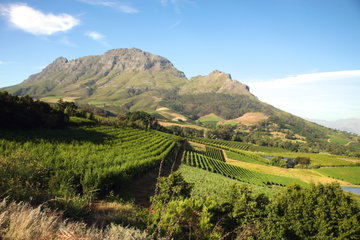 South Africa & Mauritius