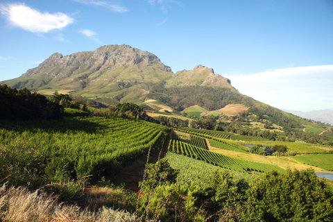 South Africa & Mauritius
