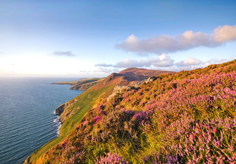 British Isles