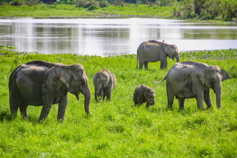 Periyar Wildlife Sanctuary