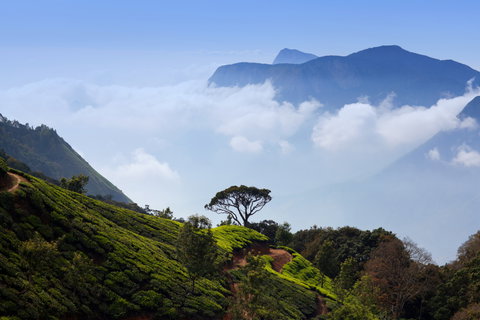 Munnar