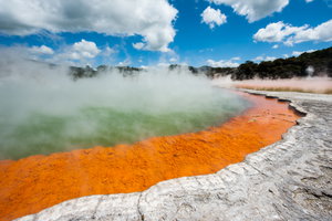 Rotorua, Waitomo & New Plymouth