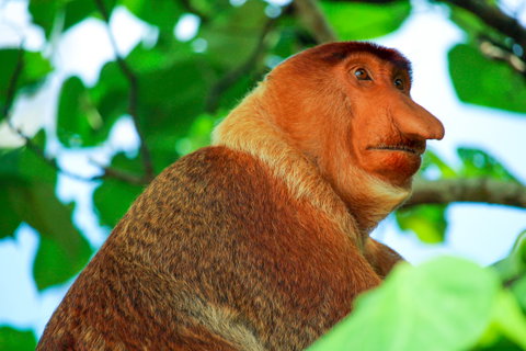 Bako National Park, Sarawak