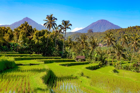 Private Touring holidays