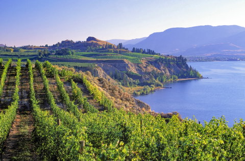 Food & Wine Holidays holidays