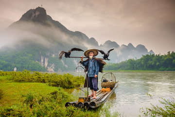 A man stands on a bamboo raft, a pole across his shoulders that holds two cormorants with wings flapping. The forested Karst peaks around the Li River rear in the background. Yangshuo, China