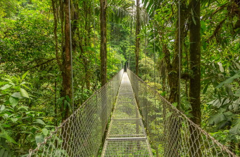 Costa Rica's Cloud Forests