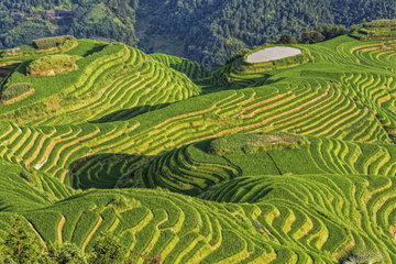 The Countryside of Yangshuo