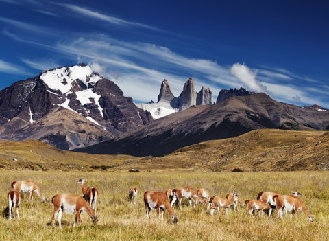 Private Touring holidays