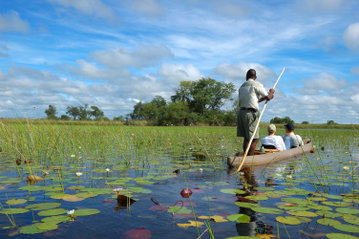 A man steering a mokoro canoe through Okavango Delta waters, surrounded by lily pads, trees in the distance, white clouds in a blue sky, Botswana