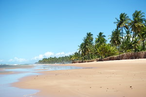 Bahian Beaches
