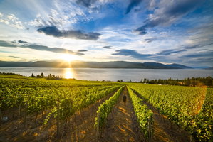 British Columbia