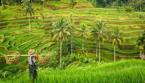 Balinese Culture & Beach