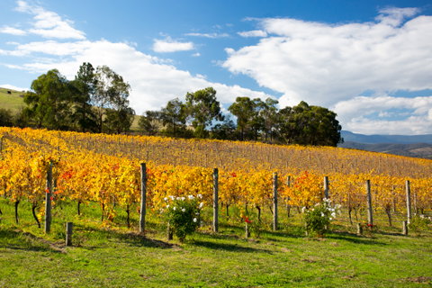 Food & Wine Holidays holidays