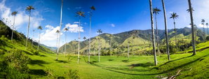 Coffee Region