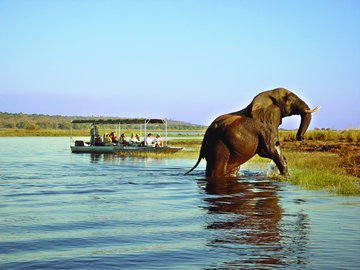 Cape Town, Victoria Falls & Chobe Safari