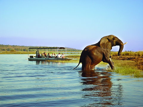 Cape Town, Victoria Falls & Chobe Safari