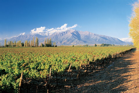 Casablanca Vineyards & Valparaiso