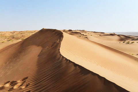 Wahiba Sands