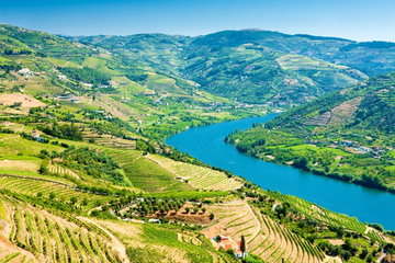 Wine & Dine Northern Portugal Honeymoon