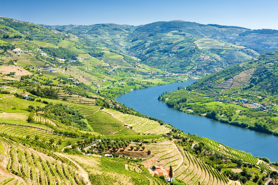 Douro River Valley