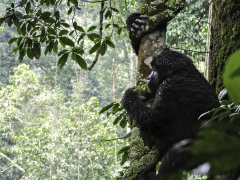 Guided Small Group Adventure Touring holidays