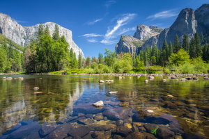 Yosemite & California's National Parks