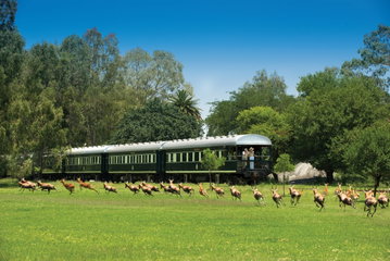 Cape Town to Pretoria by Rovos Rail