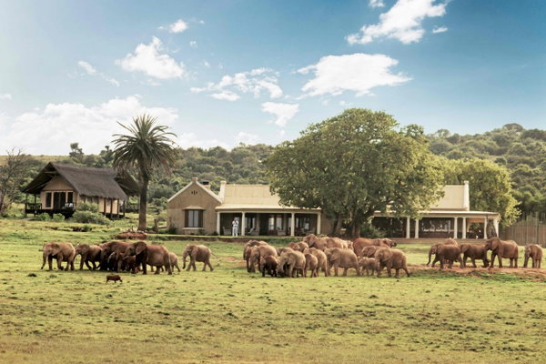 Gorah Elephant Camp