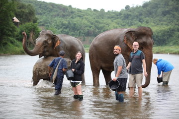 Therapeutic Trek with Elephants, Luang Prabang