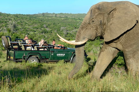 Kariega Game Reserve