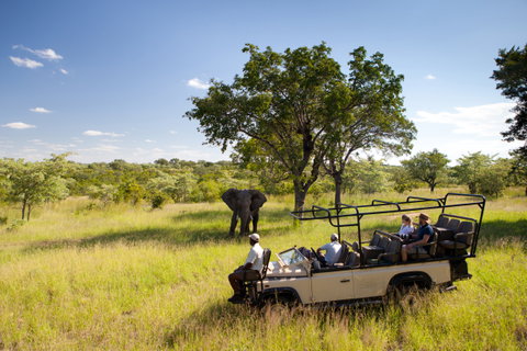Western Cape & Wilderness by Luxury Rail