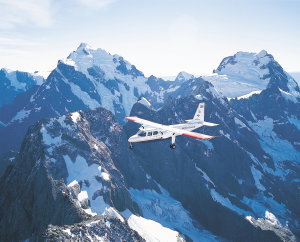 Cruise Milford Sound Day Tour - Fly Back