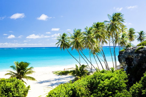 Barbados, Antigua & Saint Lucia