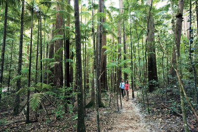 Fraser Island & the Sunshine Coast
