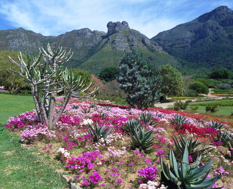 Newlands