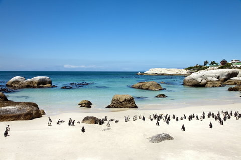 Cape Point & Peninsula Tour